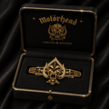 MTH Elegant Gold Hair Clip For Women TMH